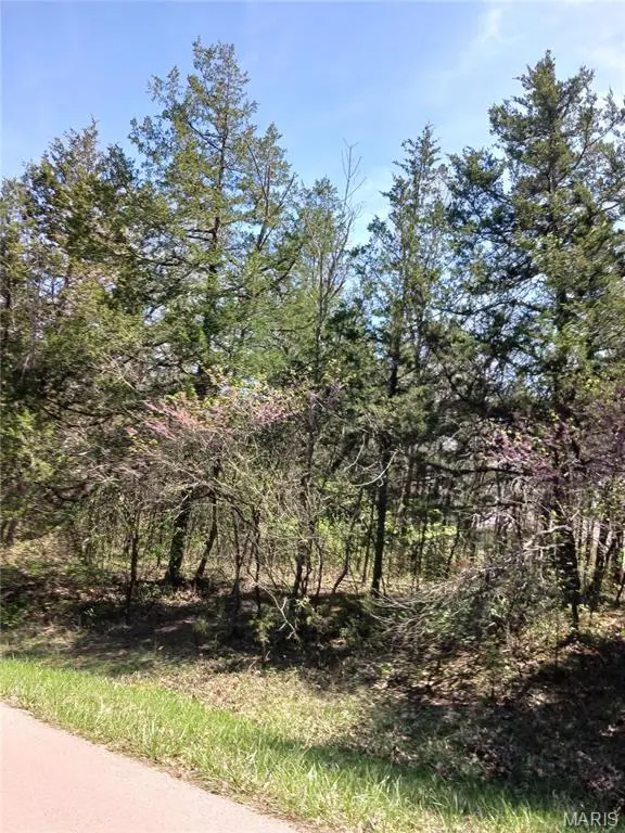 0 S Lafitte Drive, Bonne Terre, MO 63628 - Image #2