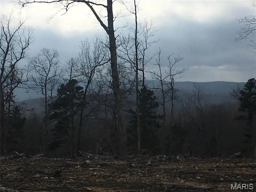 101 N Hwy, Arcadia Township, MO 63656 - Image #3