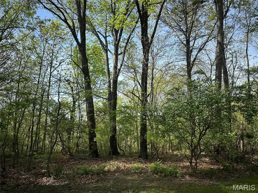 22 Sun Ridge Estates, Imperial, MO 63052 - Image #3