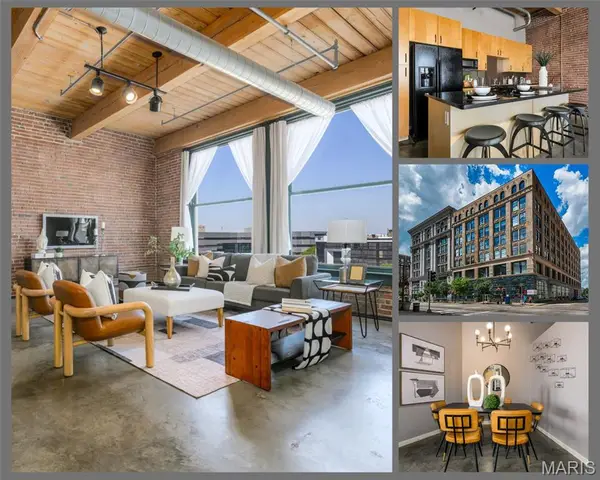 901 Washington Avenue #411, St Louis, MO 63101