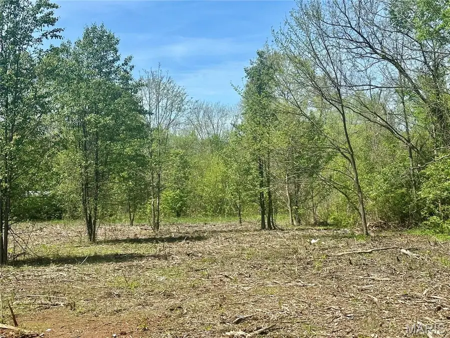 2 Potosi Street, Farmington, MO 63640 - Image #3