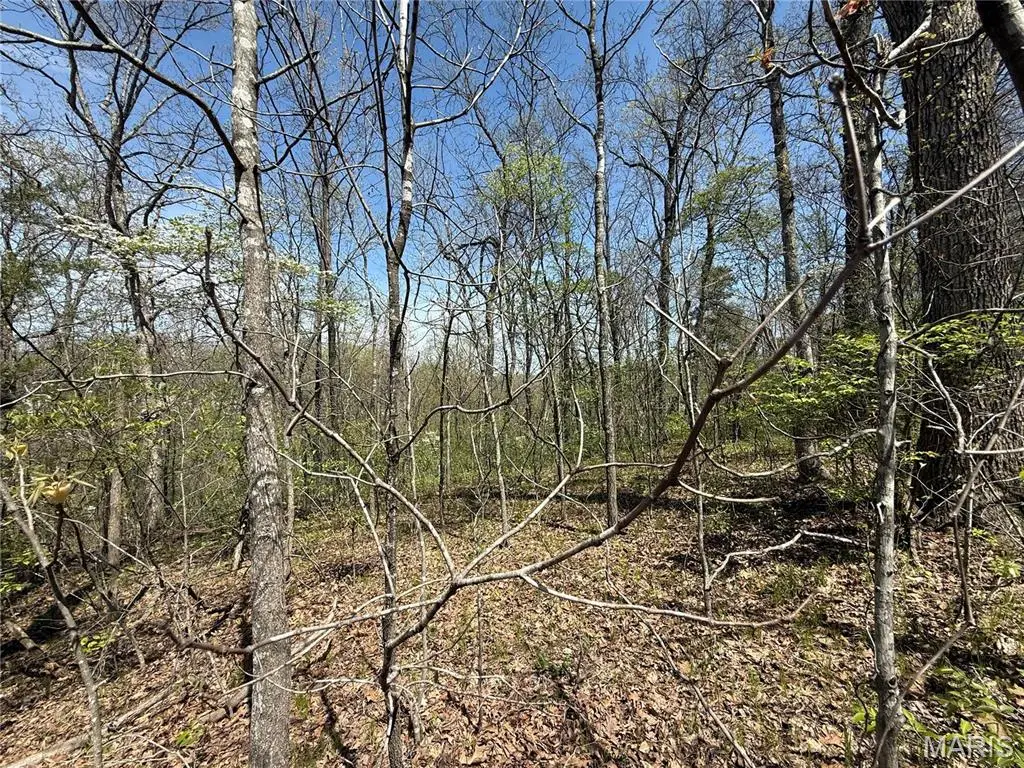 125 Jabin Farm Road, Wright City, MO 63390 - Image #1