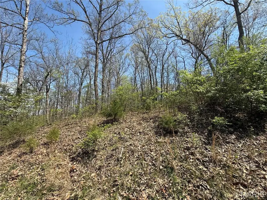 125 Jabin Farm Road, Wright City, MO 63390 - Image #3