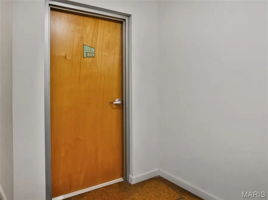 2020 Washington Avenue #809, Saint Louis, MO 63103 - Image #3