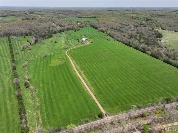 13336 Mount Olive Road, De Soto, MO 63020