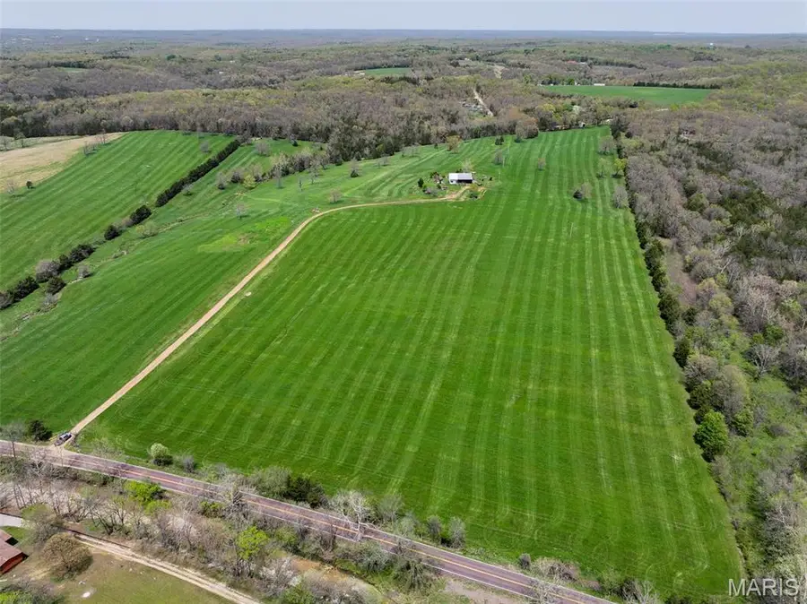 13336 Mount Olive Road, De Soto, MO 63020 - Image #3