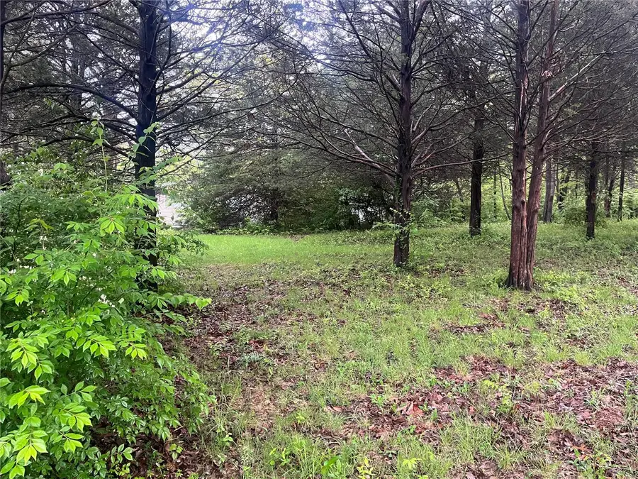 1985 Lakeshore Drive, Cuba, MO 65453 - Image #3