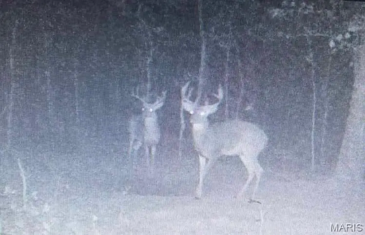 14559 Hunter Lane, Winona, MO 65588 - Image #2