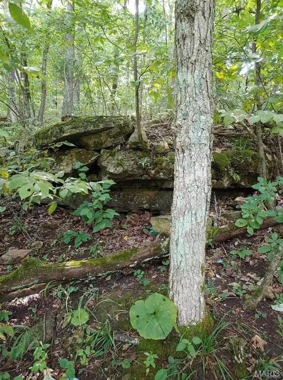 102 N Kings Road, Marthasville, MO 63357 - Image #2