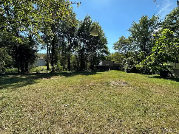 318 Chicago Street, St Louis, MO 63122