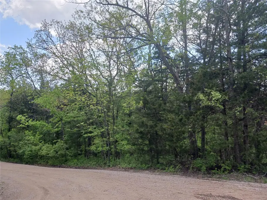 0 Charmaine Court, Bonne Terre, MO 63628 - Image #3