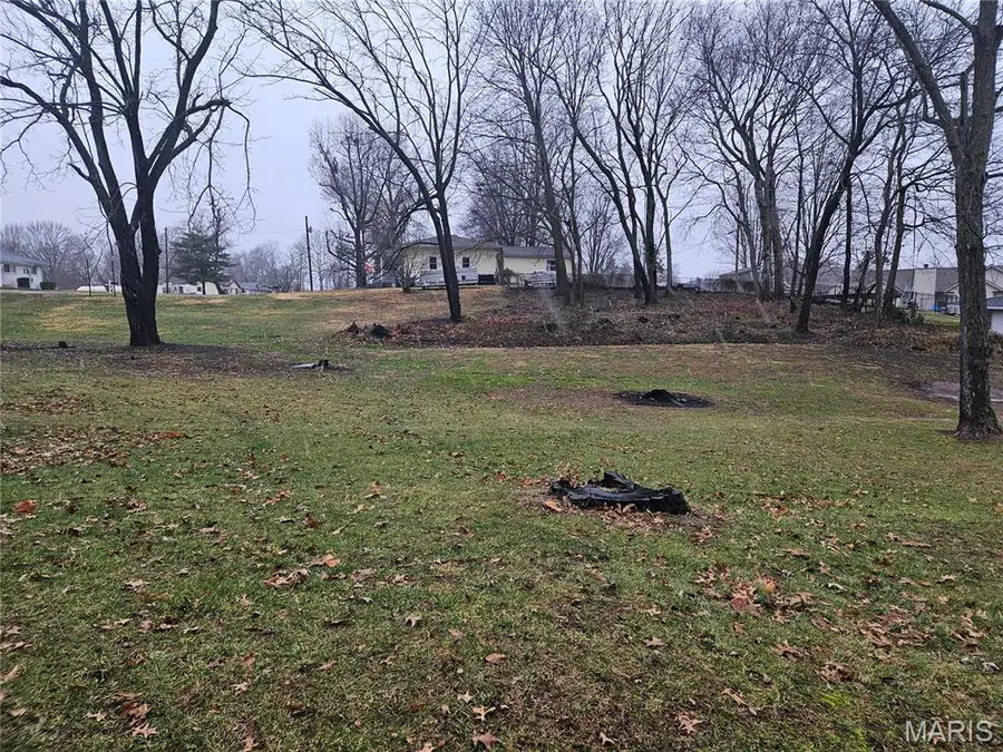 20 Fairway Drive, Bethalto, IL 62010 - Image #3