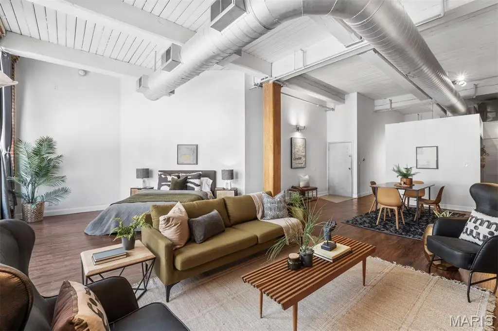 507 N 13th Street #301, Saint Louis, MO 63103 - Image #1