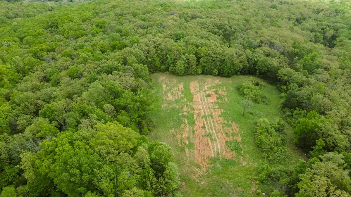 0 Blackberry Hills Rd, Bloomsdale, MO 63627 - Image #1