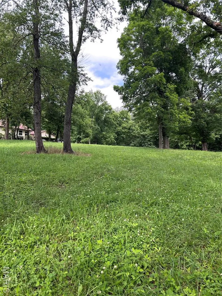 425 Hickory Street, Steelville, MO 65565 - Image #2