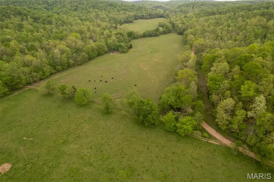 0 Cr 352, Piedmont, MO 63957 - Image #2