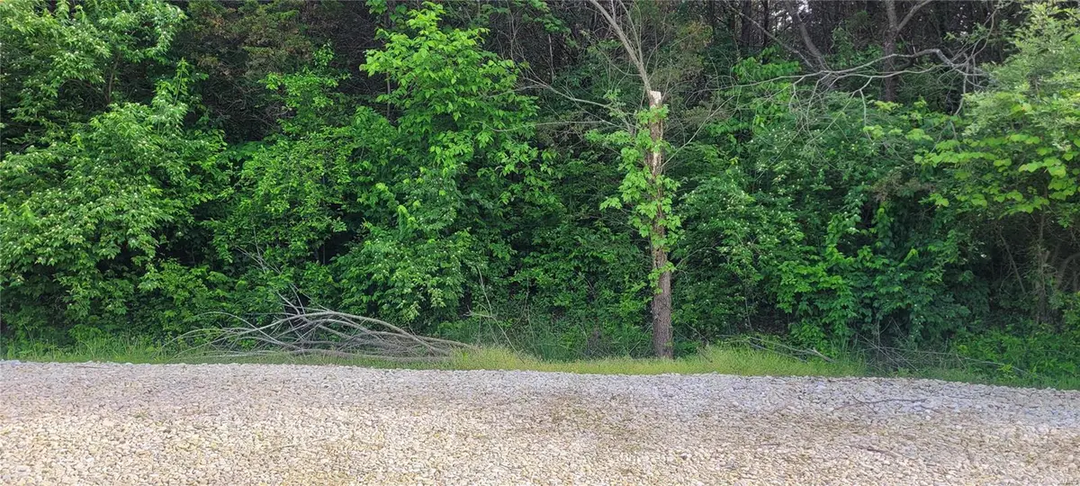 0 Glen Echo Drive, De Soto, MO 63020 - Image #1