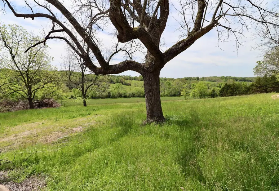 4354 Odell Road, Grovespring, MO 65662 - Image #2