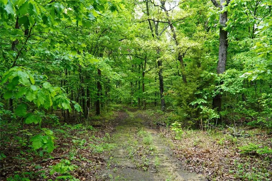 1 Topaz, Richland, MO 65556 - Image #2