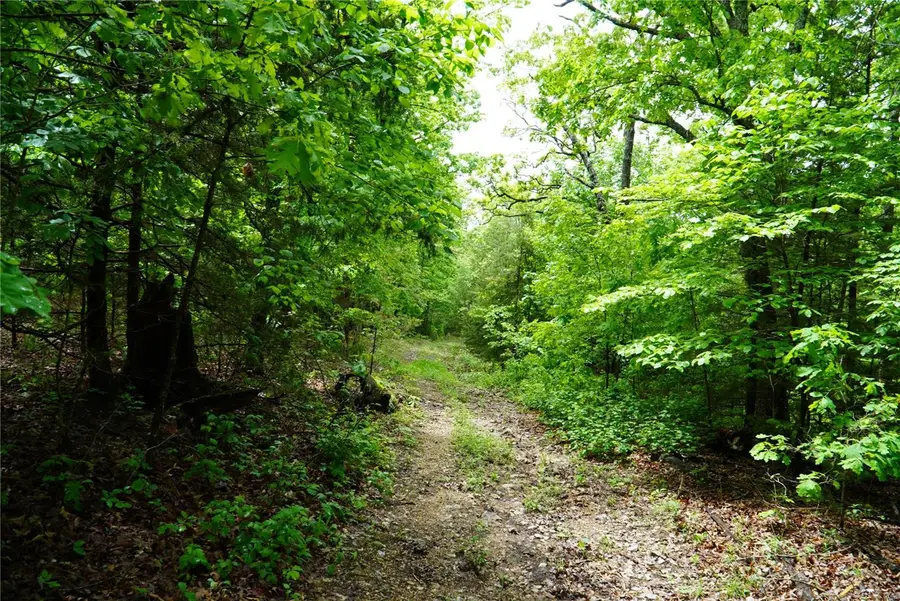 1 Topaz, Richland, MO 65556 - Image #3