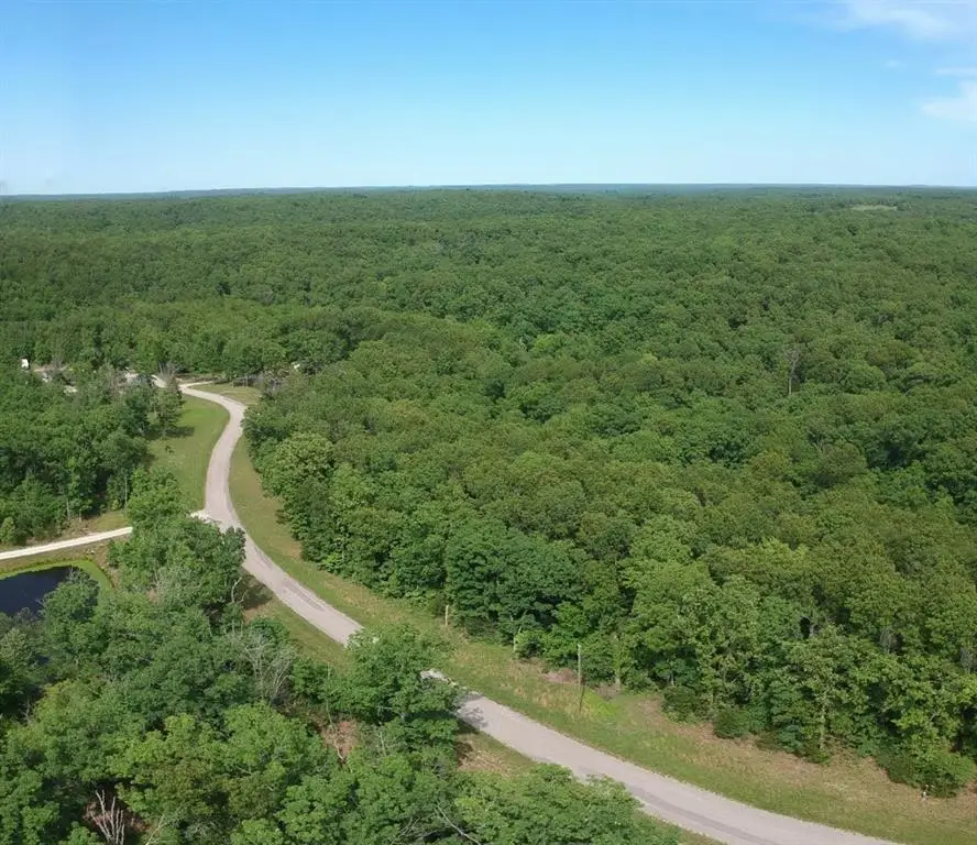 TBD Hickory Road, Steelville, MO 65565 - Image #2
