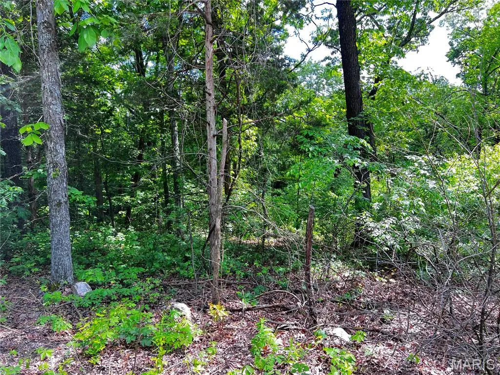 5918 Valley Drive, French Village, MO 63036 - Image #1