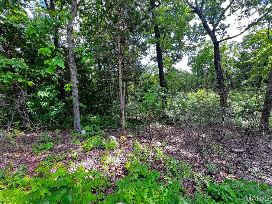 5918 Valley Drive, French Village, MO 63036 - Image #2