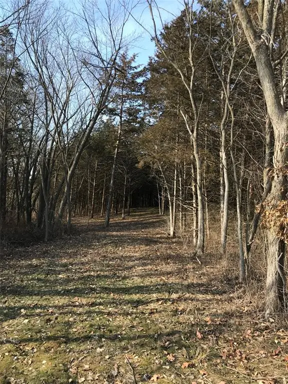 13 Red Oak Road, Maywood, MO 63454 - Image #2