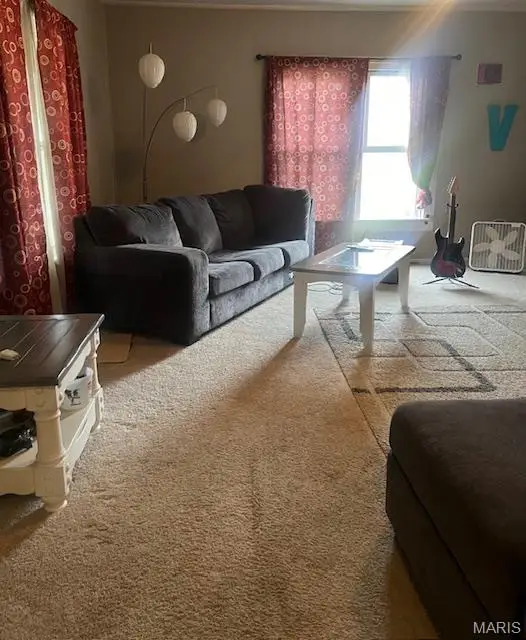 712 Vine, Doniphan, MO 63935 - #3