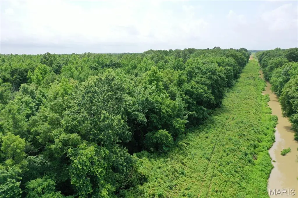 67 County Road 352, Neelyville, MO 63954 - Image #1