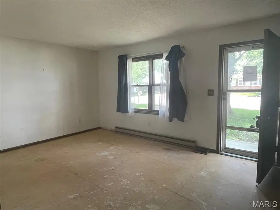 113 Watson Street, Fredericktown, MO 63645 - Image #2