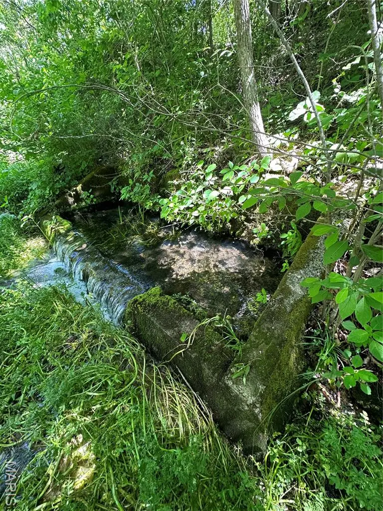 TBD Carter 224, Grandin, MO 63943 - Image #1