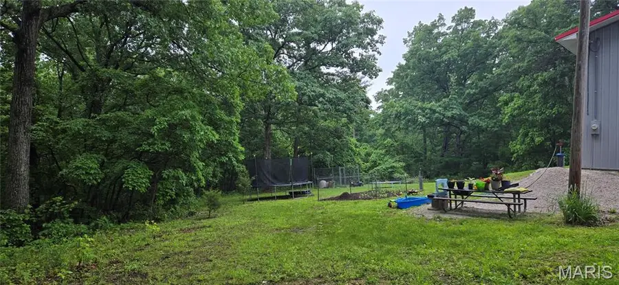 11117 Delbridge Road, Potosi, MO 63664 - Image #3