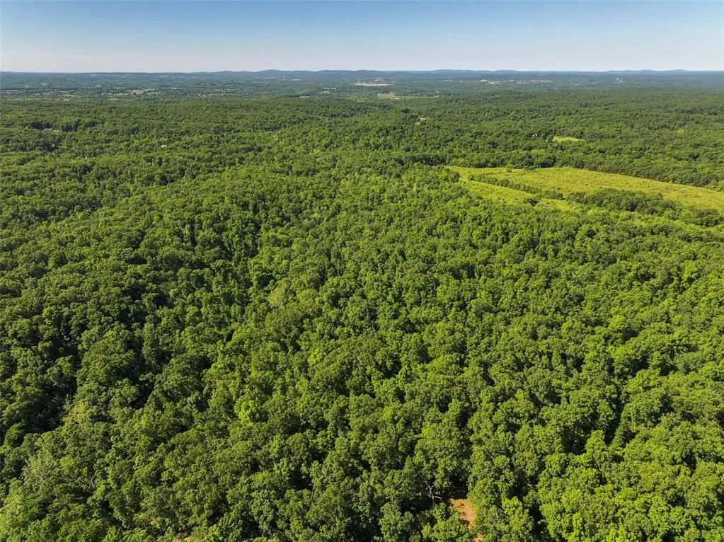 0 Tower Road, Bonne Terre, MO 63628 - Image #1