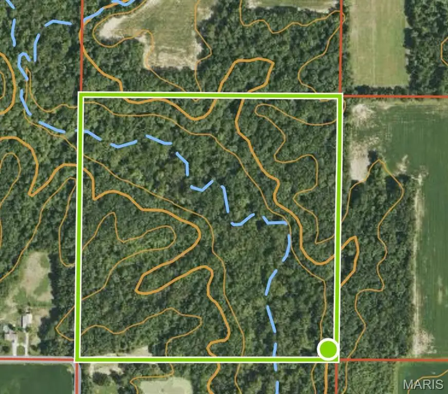 8680 Seavers Road, Iuka, IL 62849 - Image #2