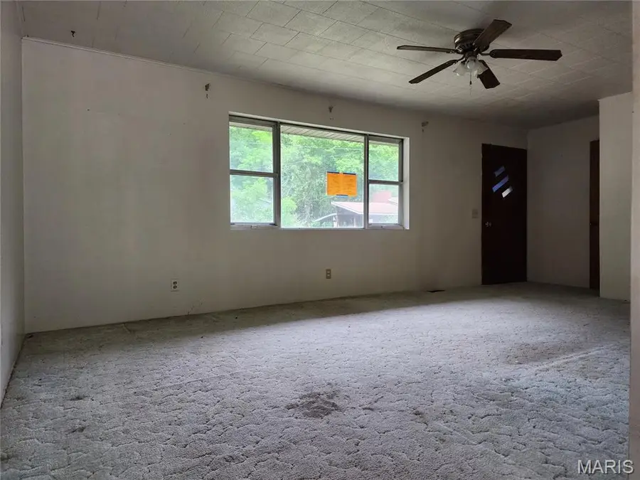 1505 Dale Street, Van Buren, MO 63965 - Image #3