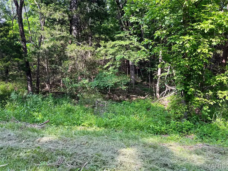 0 Mimeaux Court, Bonne Terre, MO 63628 - Image #3