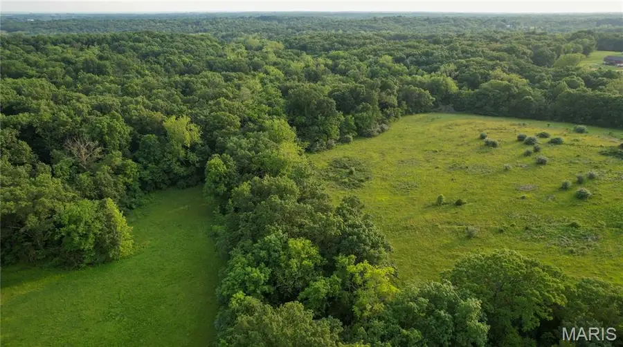 69 Walnut Grove Drive, Winfield, MO 63389 - Image #3