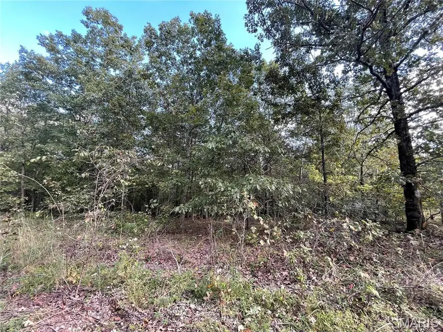 11 Woodland Heights W, Poplar Bluff, MO 63901 - Image #2