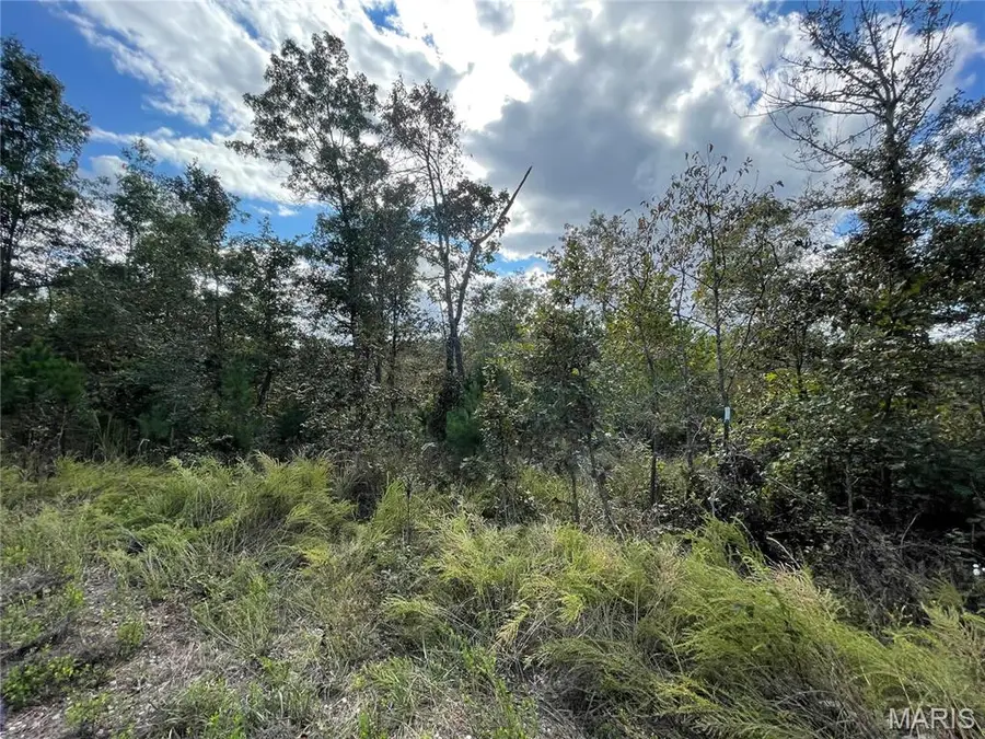 13 Woodland Heights W, Poplar Bluff, MO 63901 - Image #2