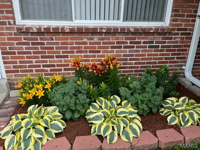 10843 Carroll Wood Way, Sappington, MO 63128 - Image #3