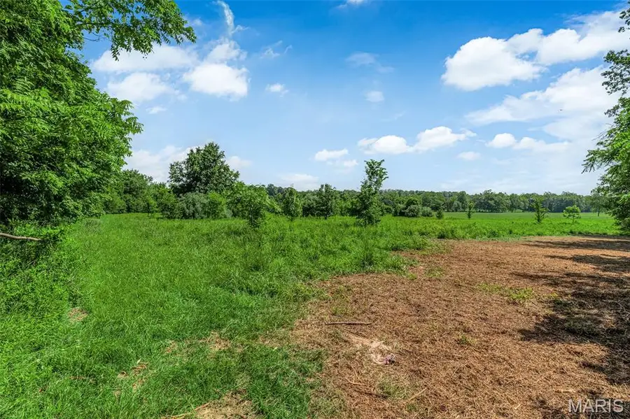 671 Birkhead Road, Winfield, MO 63389 - Image #3