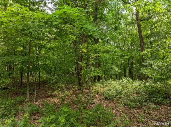 2528 Alpine Trails Drive, Innsbrook, MO 63390