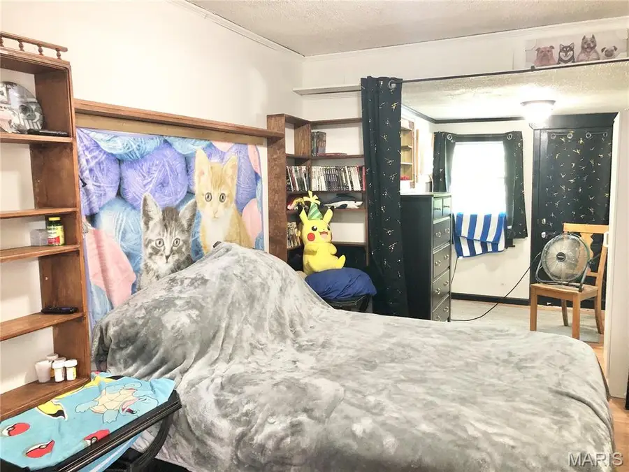 1003 W Ellis Street, Salem, MO 65560 - Image #2