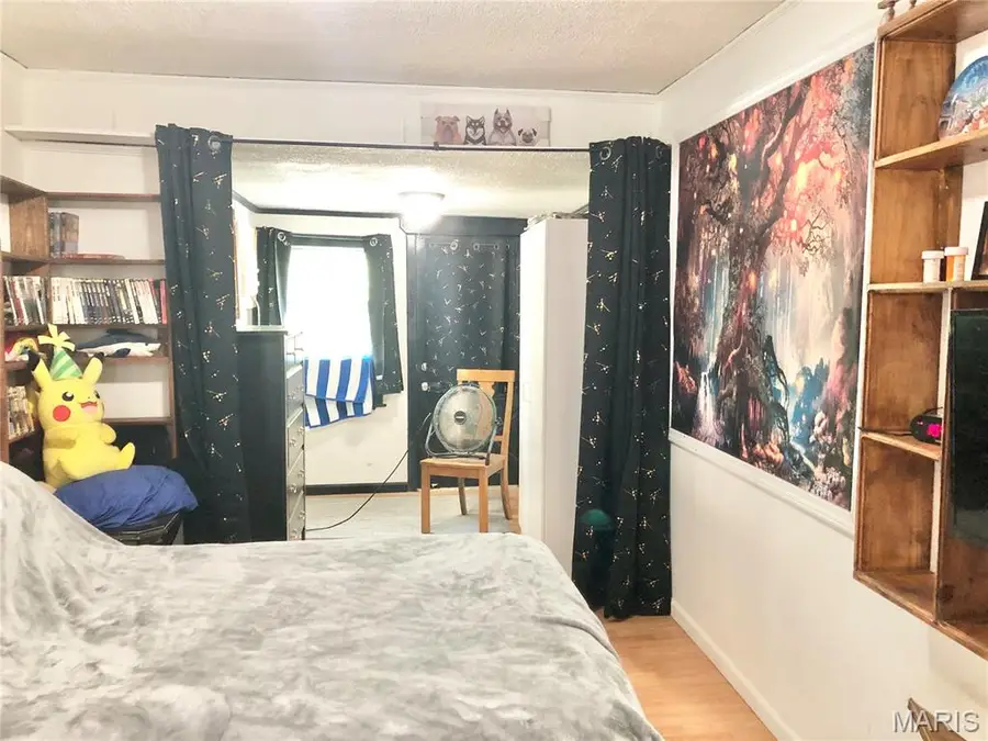 1003 W Ellis Street, Salem, MO 65560 - Image #3