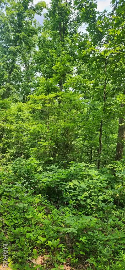 12069 Highway K, Jadwin, MO 65501 - Image #2