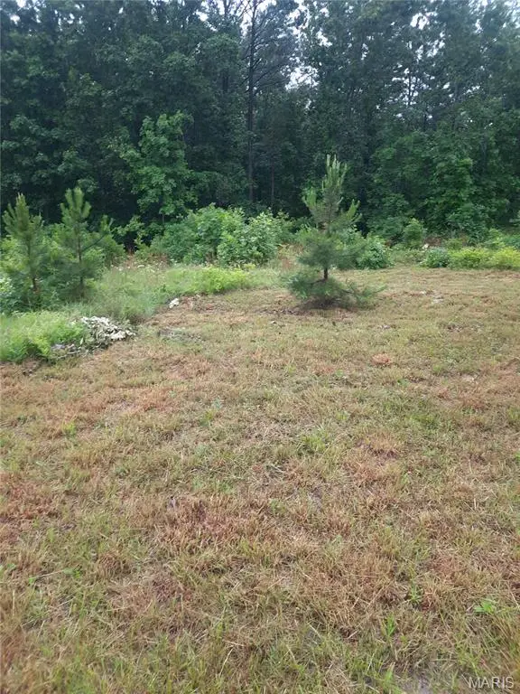 652 Highway Ww, Salem, MO 65560 - Image #1