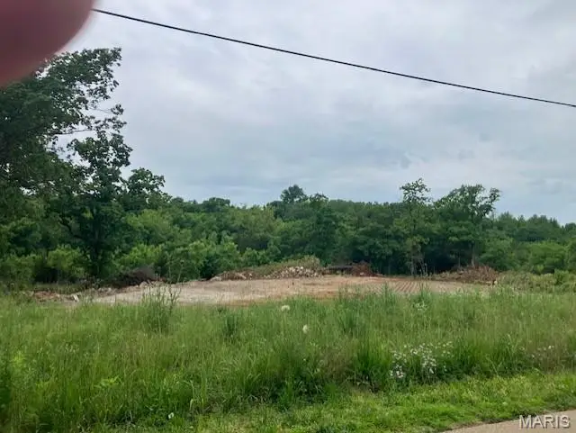 7051 Raider Road, Bonne Terre, MO 63628 - Image #3