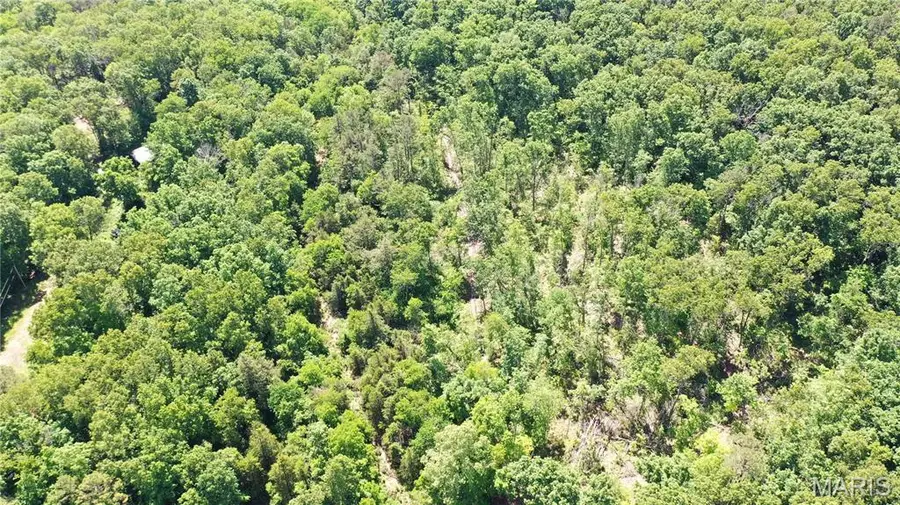 1394 (parcel B) County Road 6580, Salem, MO 65560 - Image #3