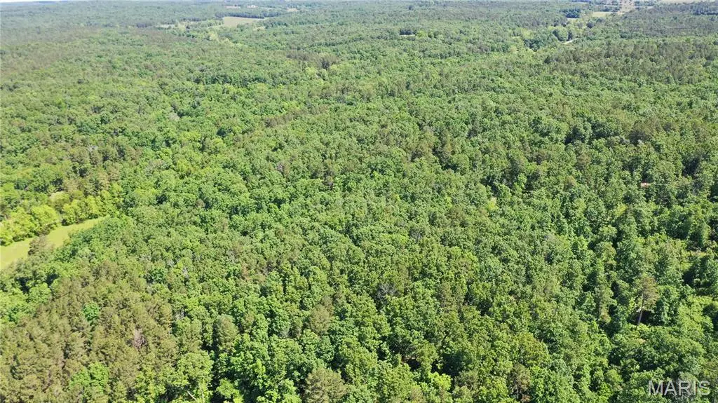 1394 (parcel C) County Road 6580, Salem, MO 65560 - Image #1